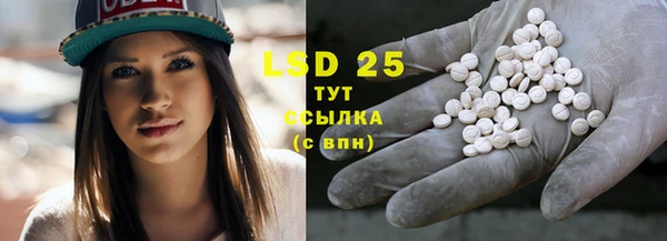 ГАЛЛЮЦИНОГЕННЫЕ ГРИБЫ Баксан