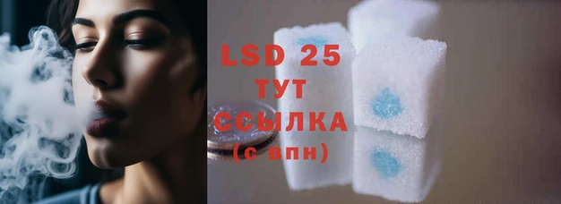 ГАЛЛЮЦИНОГЕННЫЕ ГРИБЫ Баксан