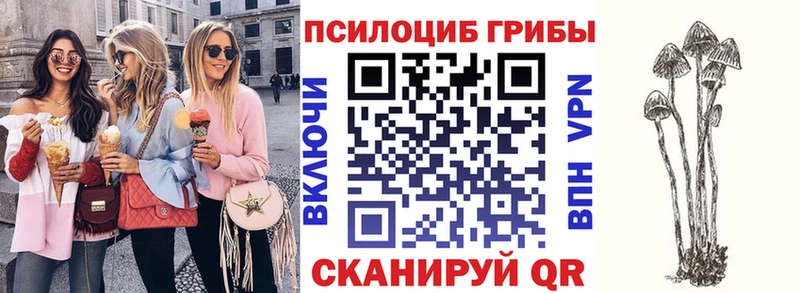 KRAKEN маркетплейс  что такое наркотик  Новоалтайск  Галлюциногенные грибы ЛСД 